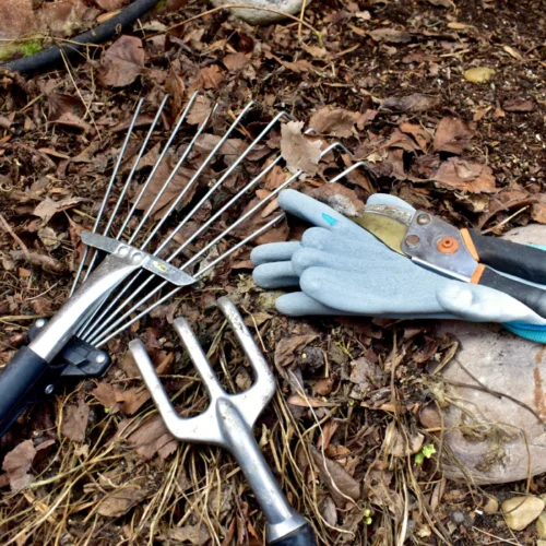 fallen leafs with some gardening tools