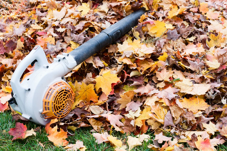 leaf blower with some fall leafs around