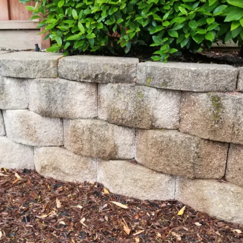 retaining wall with a bush on top